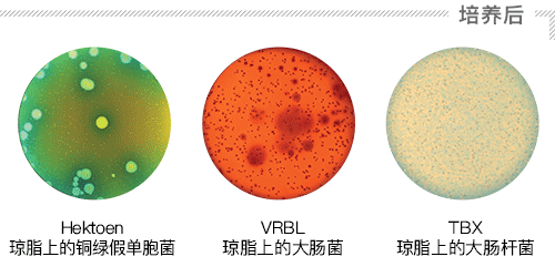 接种 - 倾倒模式 - 部分 2 ZH